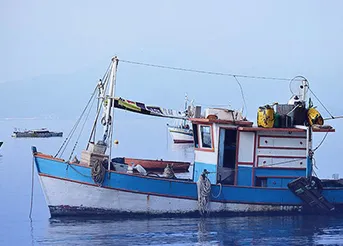 传统采样船体积大、吃水深部分水域难以到达